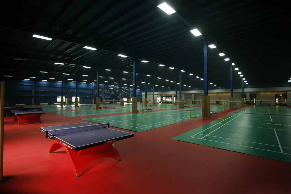 许昌塑胶运动地板厂家浅谈为什么篮球比赛要在木地板上进行？